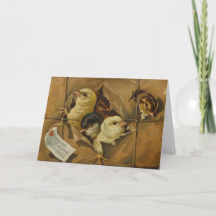 Vintage Easter Greetings (Package of Chicks) Holiday Card