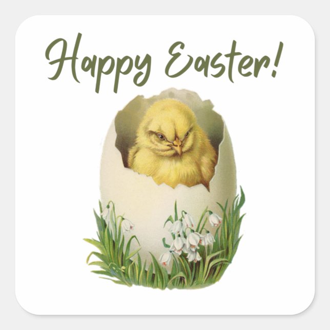Vintage Easter Hatching Chicken  Square Sticker (Front)