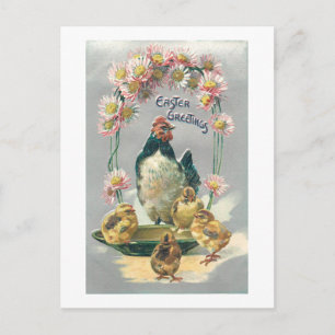 Vintage Easter Hen, Chicks & Daisies Postcard