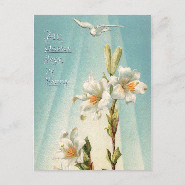 Vintage Easter Lilies and Dove Holiday Postcard (Front)