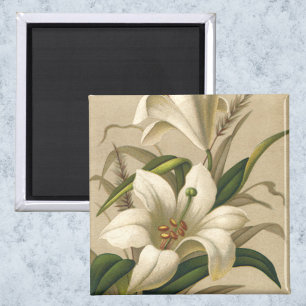 Vintage Easter Lilies, Victorian Flowers in Bloom Magnet