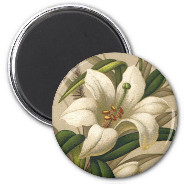 Vintage Easter Lilies, Victorian Flowers in Bloom Magnet (Front)