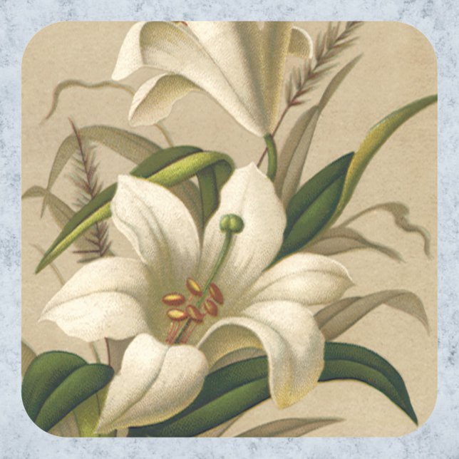 Vintage Easter Lilies, Victorian Flowers in Bloom Square Sticker (Creator Uploaded)