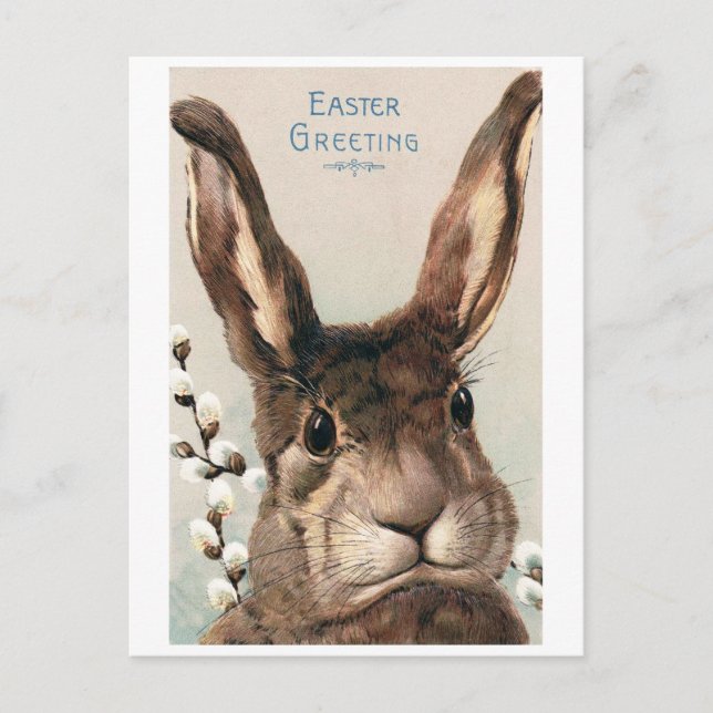 Vintage Easter Pouty Face Bunny Postcard (Front)
