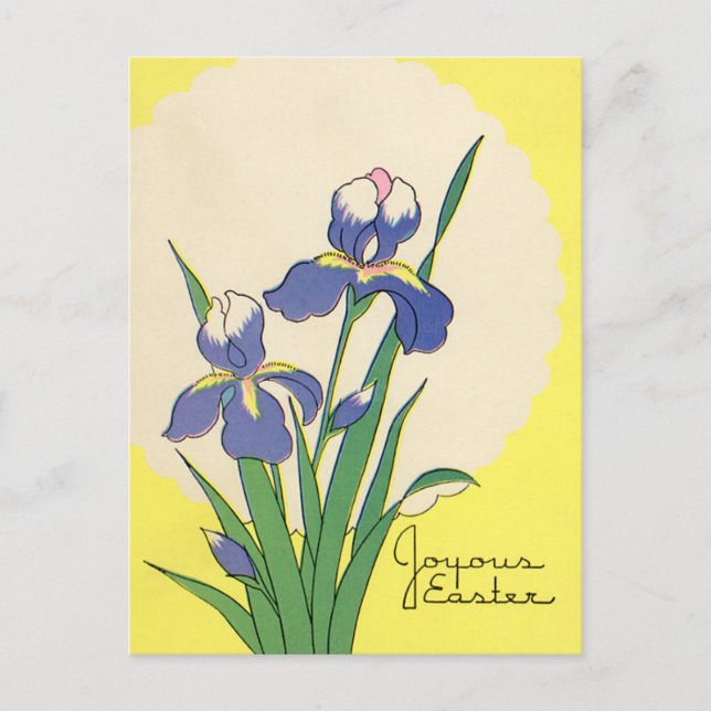 Vintage Easter, Purple Garden Iris Flowers Holiday Postcard (Front)