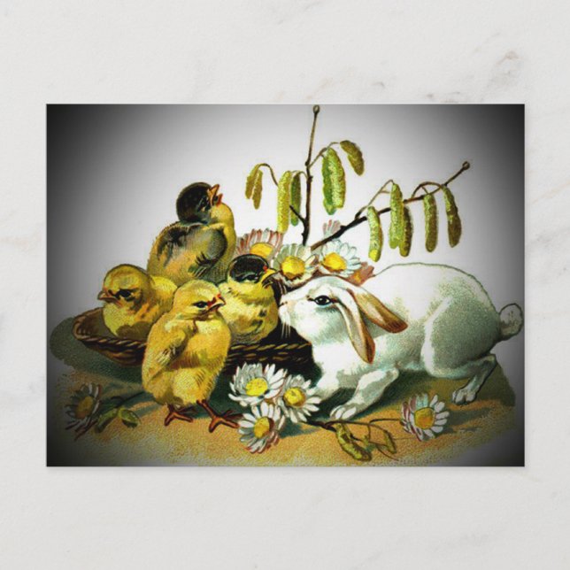 Vintage Easter White Rabbit & Baby Chicks, ZSSG Holiday Postcard (Front)