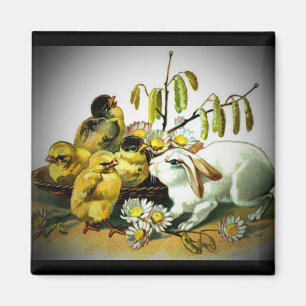 Vintage Easter White Rabbit & Baby Chicks, ZSSG Magnet