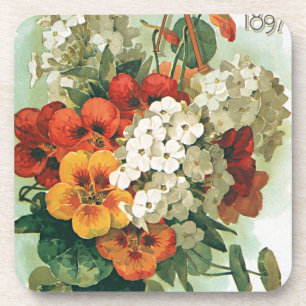 Vintage Eastman's Seed Catalog Cover Art, 1897 Coaster