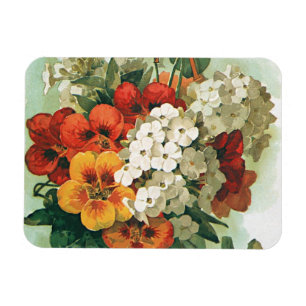 Vintage Eastman's Seed Catalogue Cover Art, 1897 Magnet