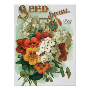 Vintage Eastman's Seed Catalogue Cover Art, 1897 Poster