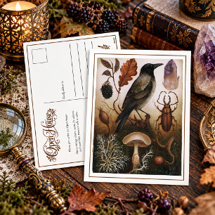 Vintage Eclectic Crow Amethyst Beetle Open House Holiday Postcard