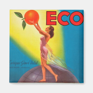 Vintage Eco Orange Label Magnet