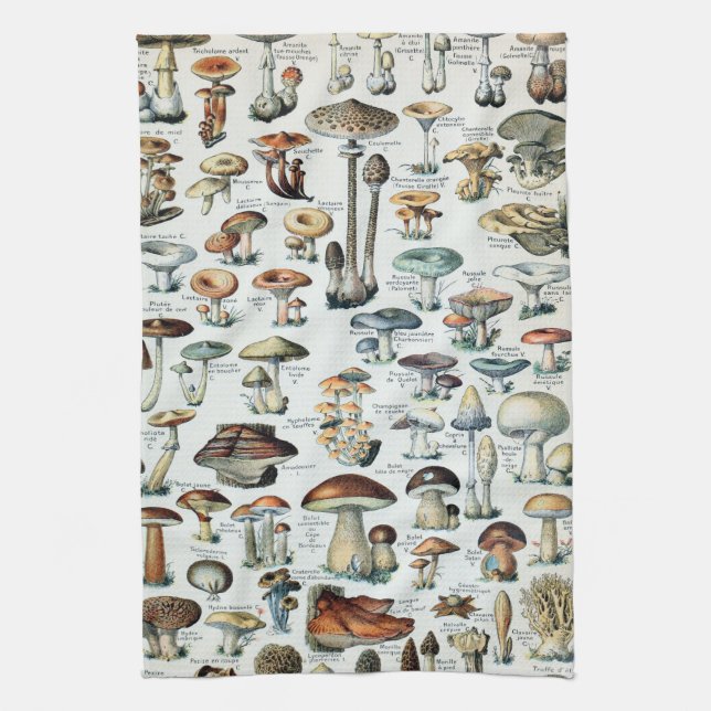 Vintage Edible Mushroom Chart Tea Towel (Vertical)