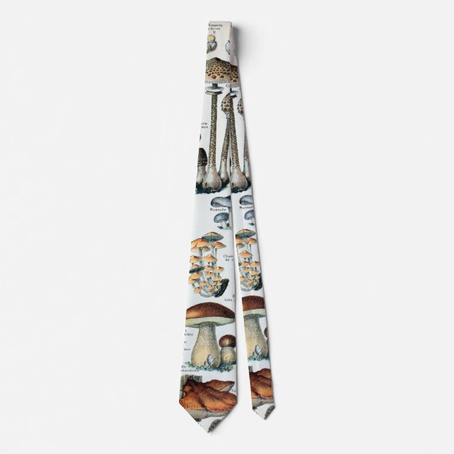 Vintage Edible Mushroom Chart Tie (Front)