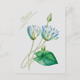 Vintage Egyptian Lotus Flower Postcard