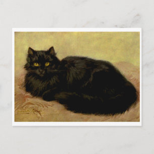 Vintage Elegant Black Persian Cat Portrait Postcard
