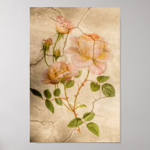 Vintage Elegant Shabby Chic Pale Pink Roses Poster