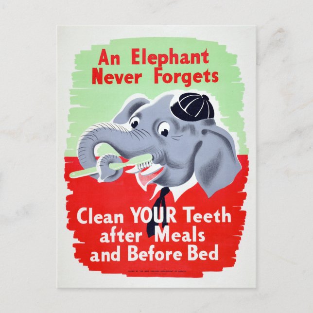 Vintage Elephant Dentist Brush your Teeth Postcard (Front)
