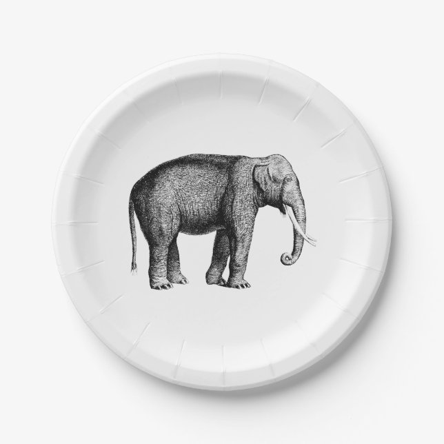 Vintage Elephant Drawing Paper Plate (Front)