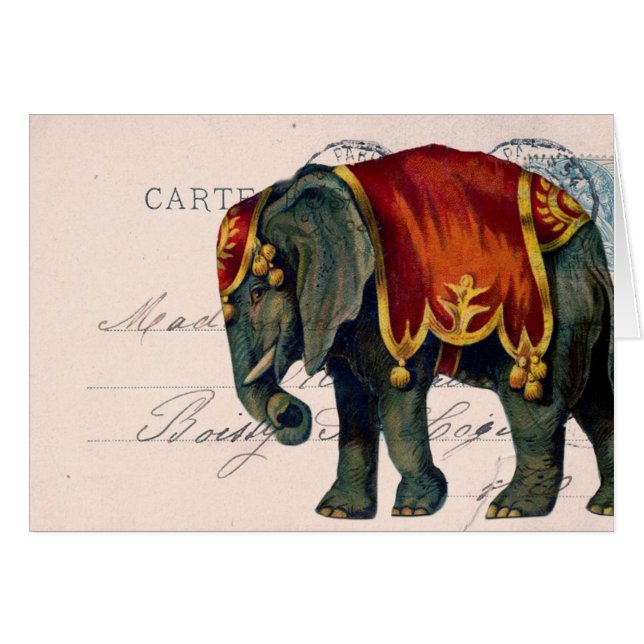 Vintage Elephant Postcard and Postmark Digital Art (Front Horizontal)