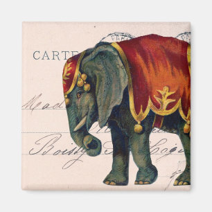 Vintage Elephant Postcard Digital Art Magnet