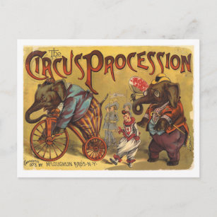 Vintage Elephants Circus Procession Postcard