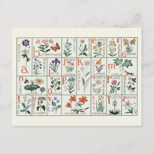 Vintage embroidery alphabet sampler   Wildflowers Postcard