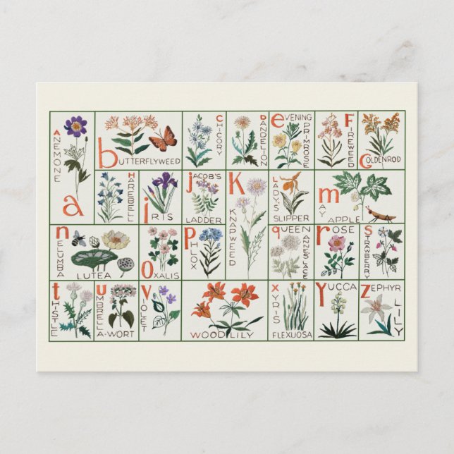 Vintage embroidery alphabet sampler | Wildflowers Postcard (Front)