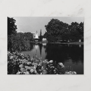 Vintage England London Buckingham St James Park Postcard