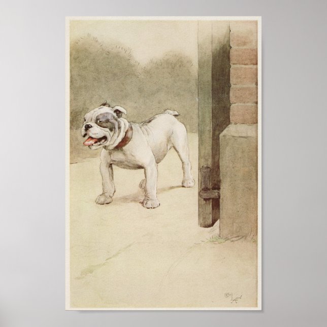 Vintage English Bulldog Illustration Poster (Front)