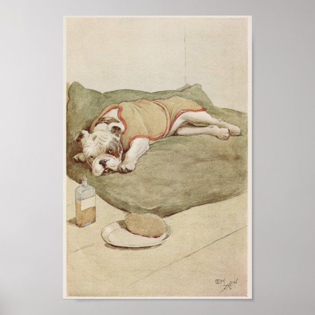 Vintage English Bulldog Illustration Poster (Front)