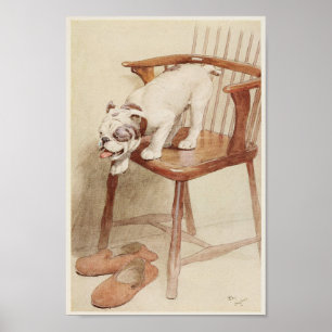Vintage English Bulldog Illustration Poster