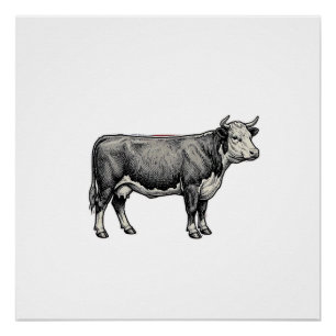 Vintage Engraved Cow Patriotic Flag Vector Design_ Poster