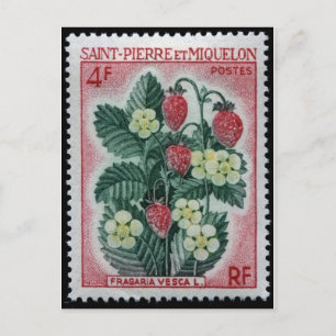 Vintage Engraved Stamp Postcard