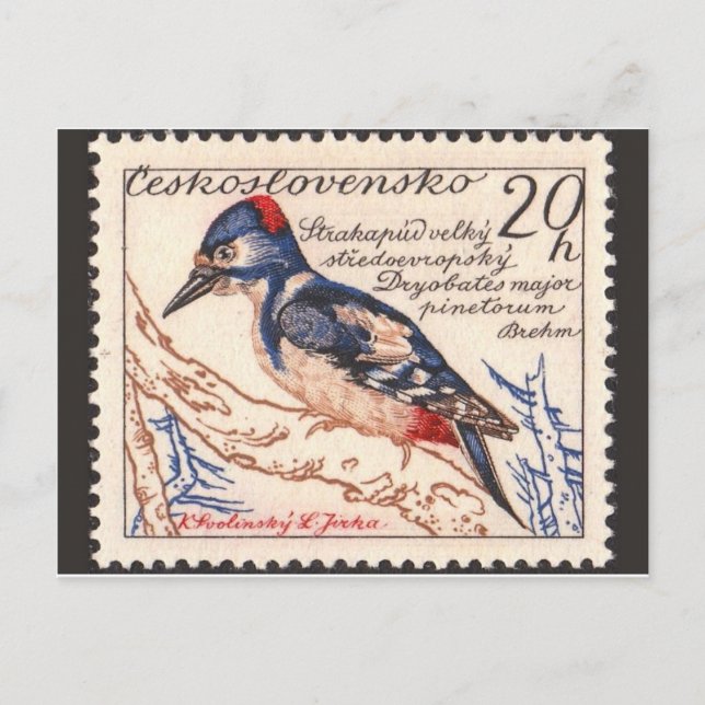 Vintage Engraved Stamp Postcard (Front)