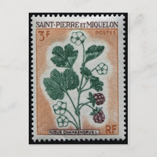 Vintage Engraved Stamp Postcard