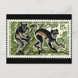 Vintage Engraved Stamp Postcard
