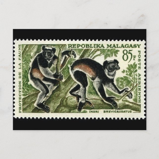 Vintage Engraved Stamp Postcard (Front)