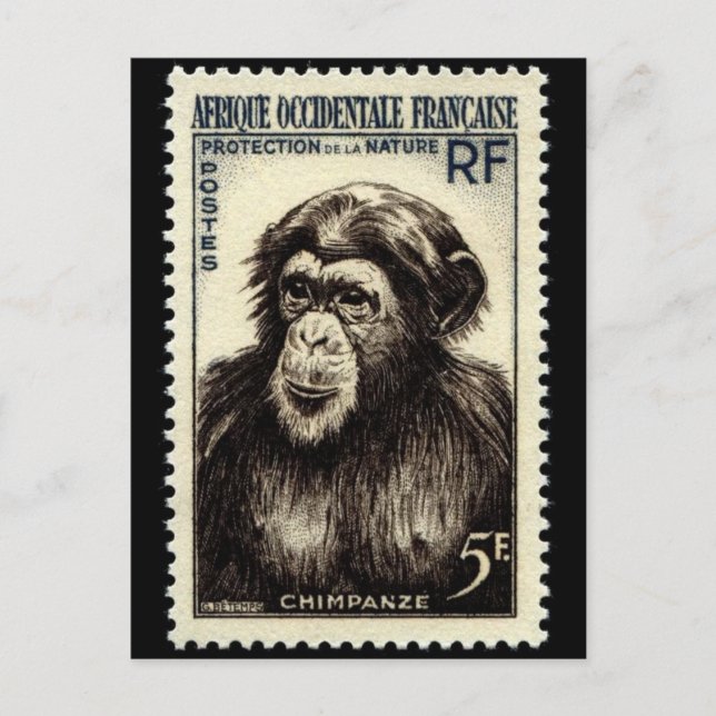 Vintage Engraved Stamp Postcard (Front)