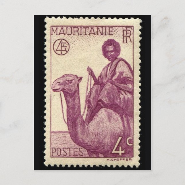 Vintage Engraved Stamp Postcard (Front)