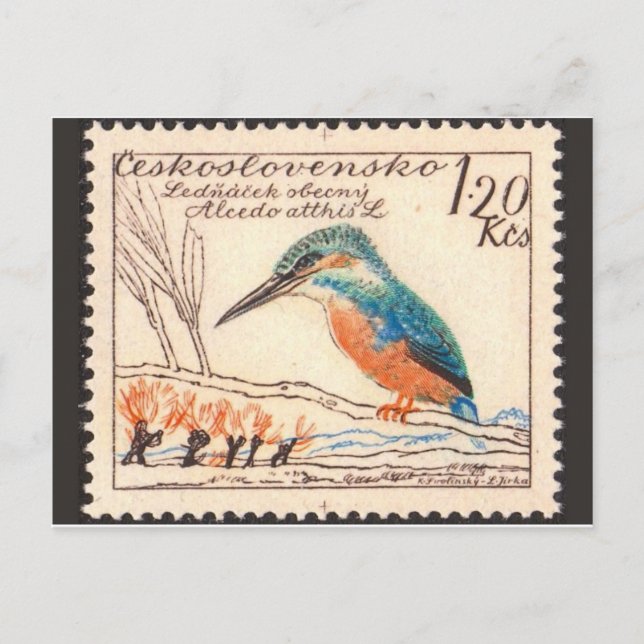 Vintage Engraved Stamp Postcard (Front)