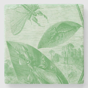 Vintage Entomology Green Katydid Flying Leaf Stone Coaster