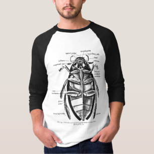 Vintage Entomology Hydrophilidae Scavenger Beetle T-Shirt