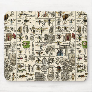 Vintage Entomology Mouse Mat