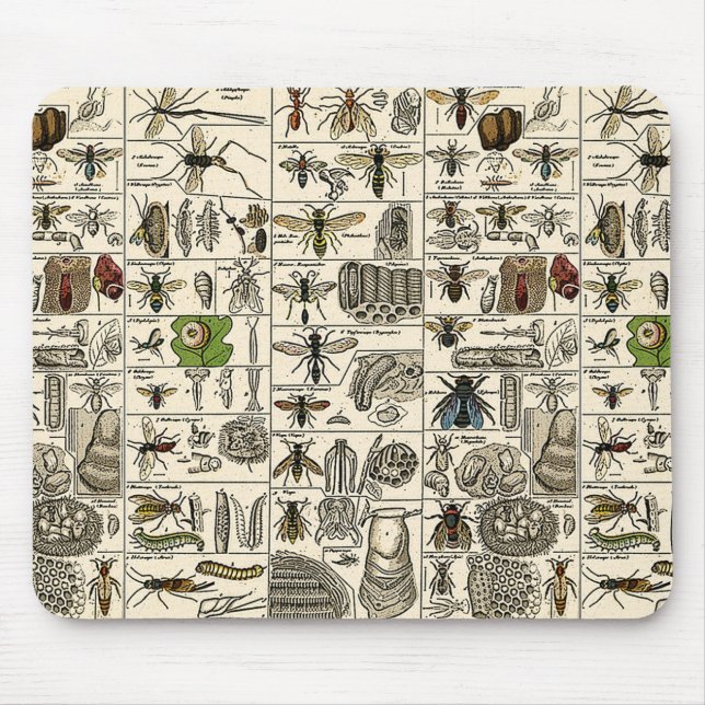 Vintage Entomology Mouse Mat (Front)