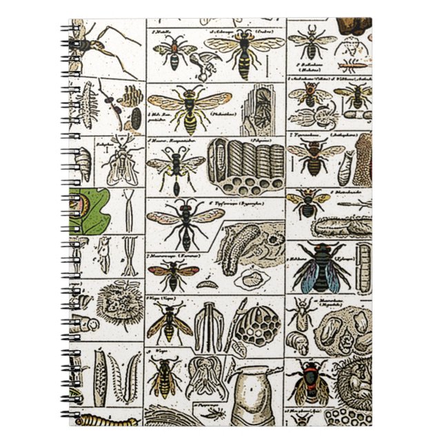 Vintage Entomology Notebook (Front)