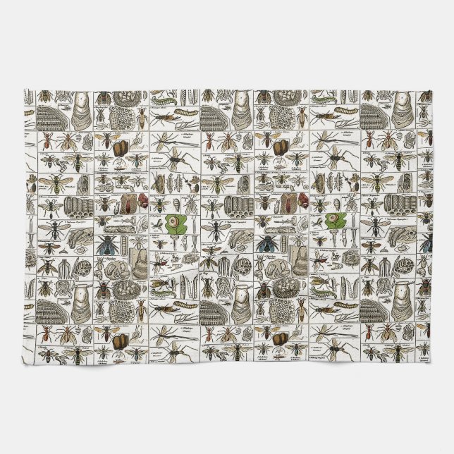 Vintage Entomology Tea Towel (Horizontal)