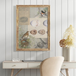 Vintage Ephemera Eggs Bird Nest Script Decoupage 1 Tissue Paper