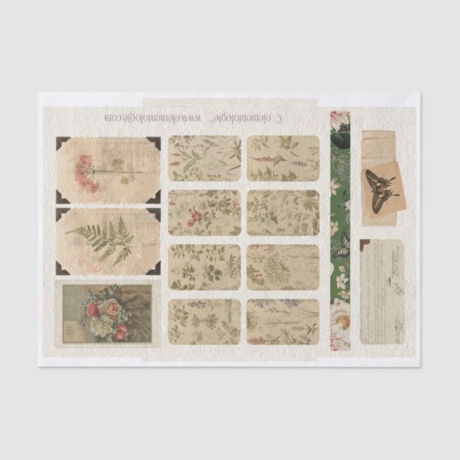 Vintage Ephemera No.2 Tissue Paper (Front)