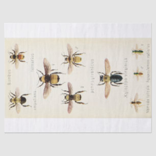 Vintage Ephemera Script Bee Decoupage Tissue Paper